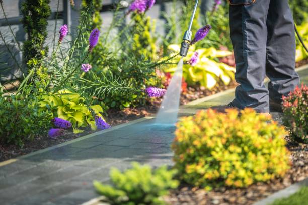 Best Gutter Cleaning  in Shamokin Dam, PA
